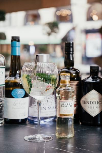 une large selection de gin à découvrir dans un restaurant à Bordeaux touts les jours